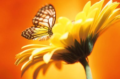 rundumwarm_schornsteinfegermeister_guido_holtappels_4